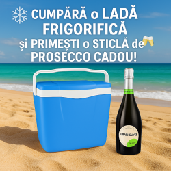 LADA FRIGORIFICA CAMPING 24L ENGER